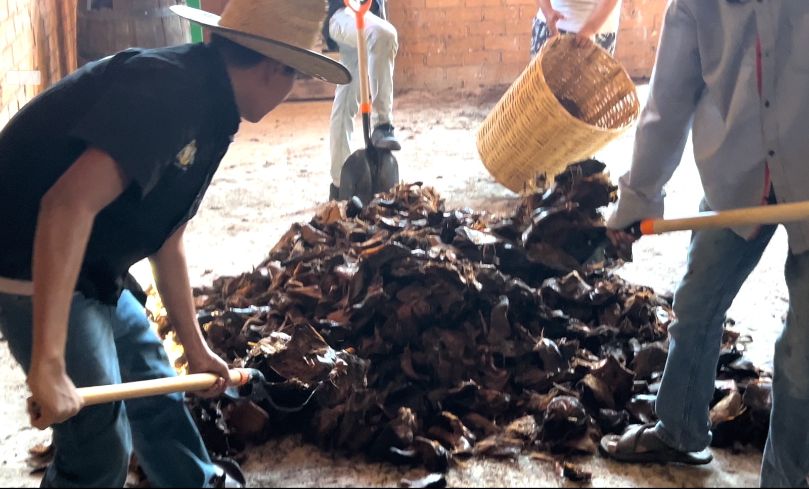 Mezcales de Cata - Galería 9